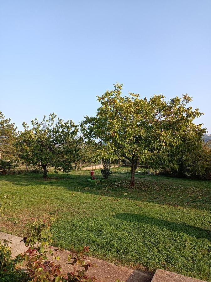 Apartman Biba Labin  Εξωτερικό φωτογραφία